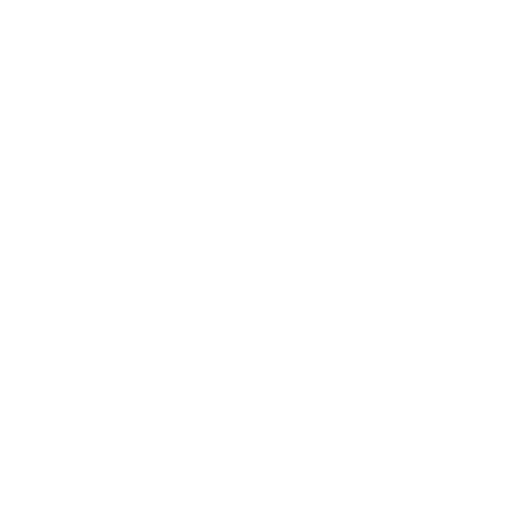 Github icon